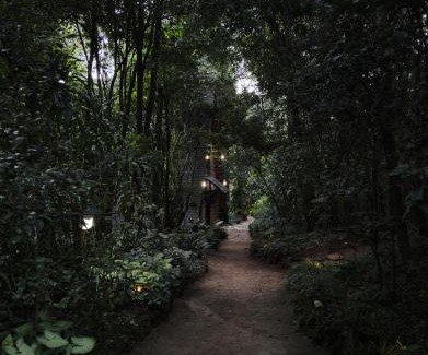 Kiambu Casa | Kivulini A-Frame Cabin Forest