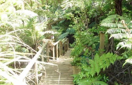 Kawau Island Casa | Kiwi Bach, Kawau Island