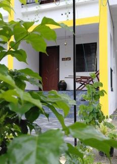 Kochi Casa | Kiwis Nest Homestay