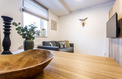 Loucna Pod Klinovcem Apartamento | Klínovec-Apartments