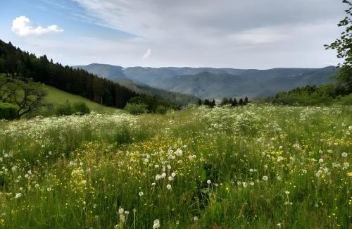 Schonach im Schwarzwald Casa | Klausenhof Schonach
