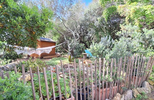 Golfo Aranci Casa | Kleines Paradies Nähe Olbia