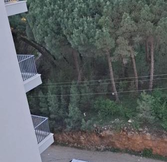 Shengjin Apartamento | KleNo family