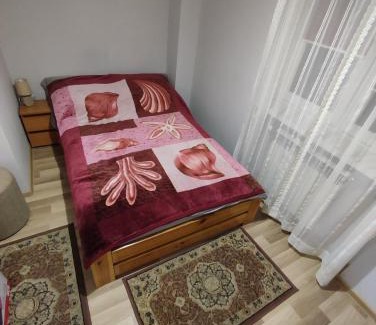 Hajnowka Apartamento | Klimatyczne mieszkanie
