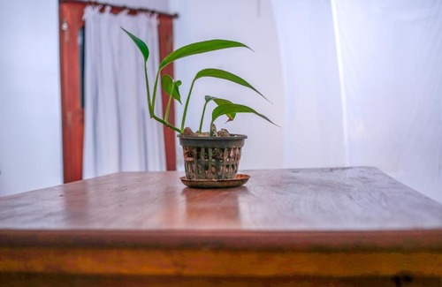 Fort Galle Casa | Knight Inn - Galle Fort