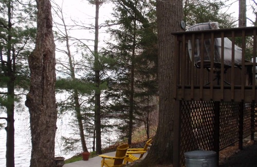Turtle Lake Cabina | Pino nudoso Cabina en el lago