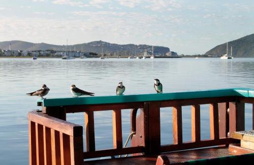 Knysna Alquiler De Eote | Knysna Houseboat Myrtle