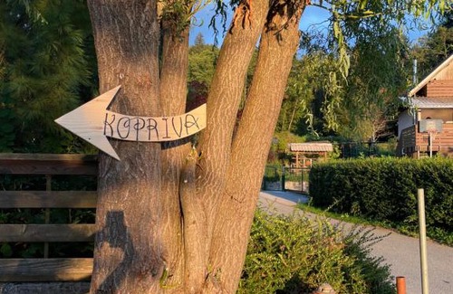 Trzic Apartamento | Koča Kopriva