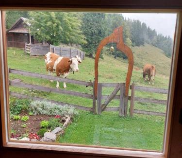 Luce Casa | Koča Lipa pod Veliko planino