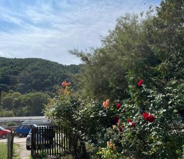 Kursumlija Apartamento | Kobran