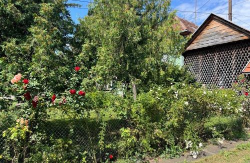 Kursumlija Apartamento | Kobran