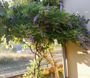 Smederevo Apartamento | Kod kapetana