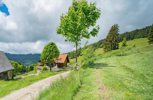 Wolfsberg Casa | Kogljahrerhütte