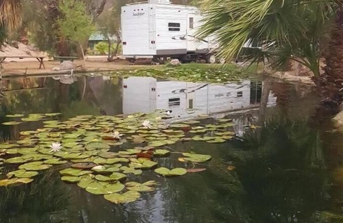 Newberry Springs Casa | Koi Pond Trailer