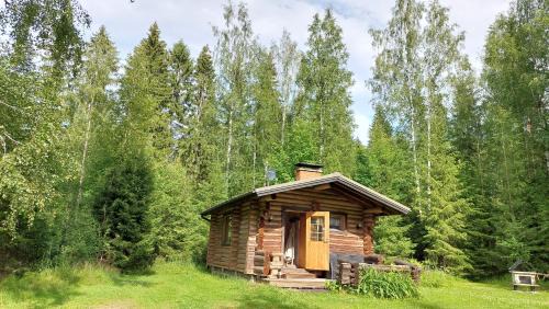 Sulkava Casa | Koivula Fish Cottage