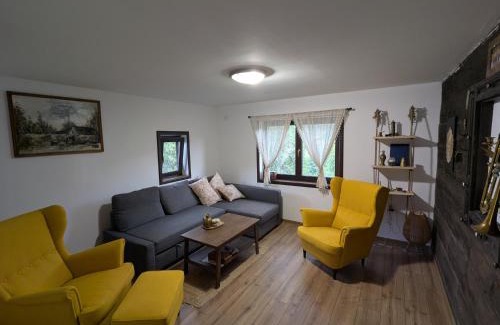 Mokra Gora Casa | Kojadinovica Koliba