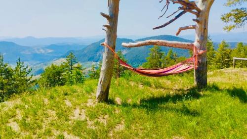 Zlatibor Chalet De Esquí | Koliba Dobro drvo