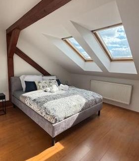 Ostrava Apartamento | Kollarova Apartment