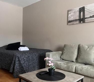 Ylamylly Apartamento | Kompakti yksiö Sepis