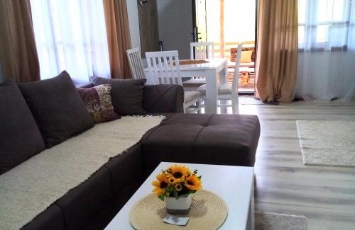 Stara Planina Apartamento | Konak Jerma