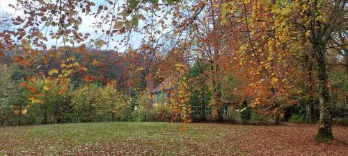 Thorsoe Cama Y Desayuno | Kongsø Bed & Breakfast