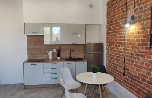 Pabianice Apartamento | Konopnickiej 9 Apartament Loft dostęp na kod, Ptak, Orientarium, Atlas ARENA, Szpital, Mandoria, Fala, Centrum Zdrowia Matki Polki, Rodzina, Family, bezpłatny parking