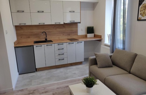 Pabianice Apartamento | Konopnickiej 9 Studio z antresolą PTAK, Orientarium, Atlas ARENA, Szpital, Mandoria, Fala, Centrum Zdrowia Matki Polki, Rodzina, Family, bezpłatny parking