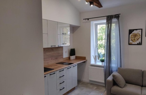 Pabianice Apartamento | Konopnickiej 9 Studio z antresolą PTAK, Orientarium, Atlas ARENA, Szpital, Mandoria, Fala, Centrum Zdrowia Matki Polki, Rodzina, Family, bezpłatny parking