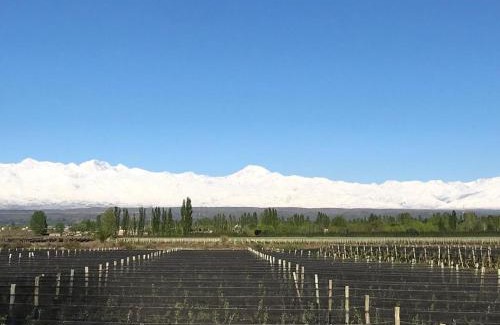 Tupungato Cabina | KooColand-CHE