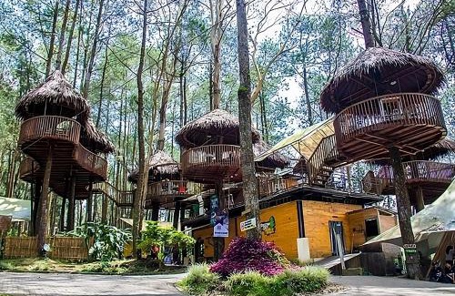 Getasan Otro | Kopeng Treetop Adventure Park