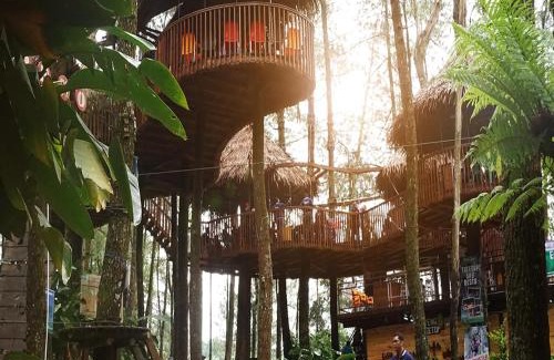 Getasan Otro | Kopeng Treetop Adventure Park