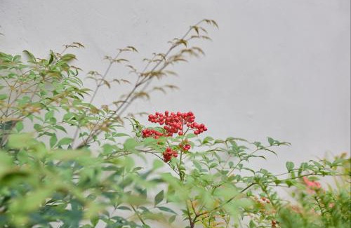 Andong Chalet De Esquí | Korean Chalet 소연정 Hanok stay