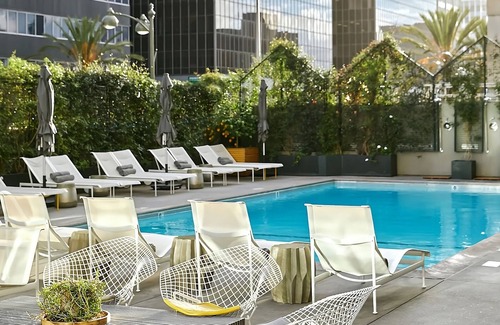 Wilshire Center Hotel | Koreatown Serenity in LA, Family-Friendly Comfort Awaits, Bring Your Pets!