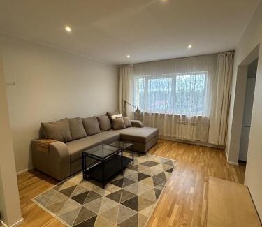 Voru Apartamento | Koreli apartment
