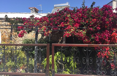 Antimachia Casa | Casa de vacaciones Kos con patio, pérgola y jardín