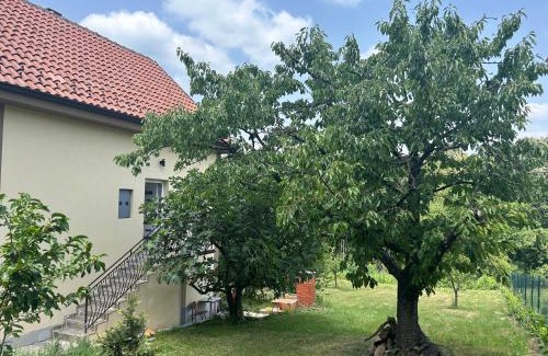 Mladenovac Apartamento | Kosmaj Ruža vetrova