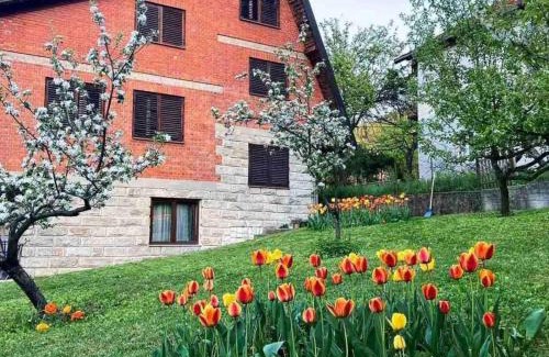 Mladenovac Casa | Kosmajski raj