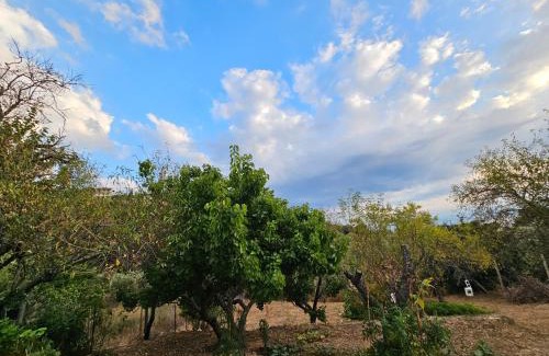 Glossa Casa | Kosmarana skopelos realty
