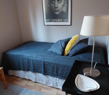 Kangasniemi Chalet De Esquí | Kotoisa mökki Kangasniemellä