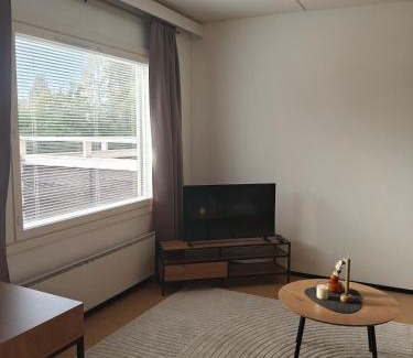 Sonkajarvi Apartamento | Kotoisa yksiö lähellä palveluita