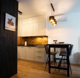 Stare Podgorze Apartamento | Krakow Centrum Sunny Apartment Lwowska 10