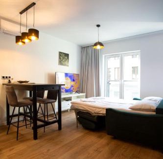 Stare Podgorze Apartamento | Krakow Centrum Sunny Apartment Lwowska 10