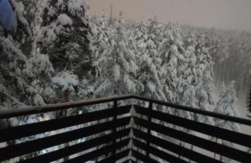 Zlatibor Apartamento | KRALJ LUX in Balkan Hill Two