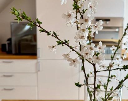 Modra Apartamento | Kralova Apartment in Modra