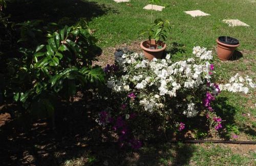 Saint Felix Casa | Kreyol Eden Cottage