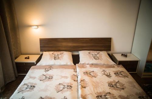 Wolfsegg am Hausruck Apartamento | Kronlachner's Apartment
