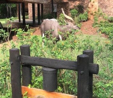 Hazyview Chalet De Esquí | Kruger Park Lodge, Kubu Lodge 224