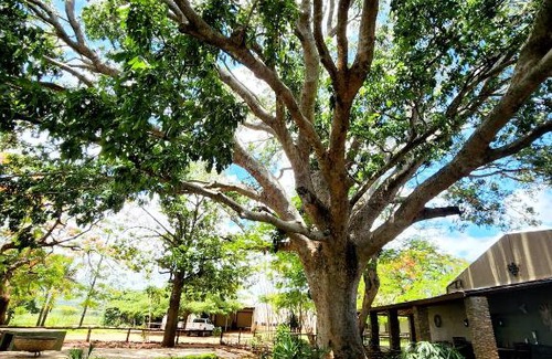 Malelane Apartamento | Kruger's SugarView
