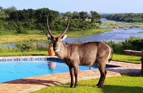 Marloth Park Chalet De Esquí | Kruger View Tree House