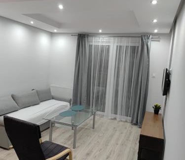 Kruszwica Apartamento | Kruszwica Wspólna 3